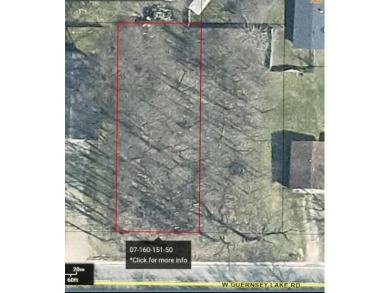 Guernsey Lake Lot For Sale in Delton Michigan