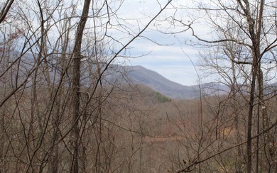 Lake Chatuge Acreage For Sale in Hayesville North Carolina