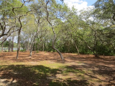 Lake Acreage For Sale in Silver Springs, Florida