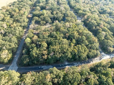 Two nicely wooded lots in the gated community of Callender Lake - photo 4