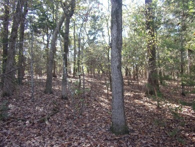Two nicely wooded lots in the gated community of Callender Lake - photo 9
