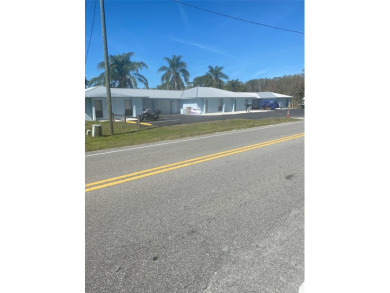 Lake Townhome/Townhouse For Sale in Tavares, Florida