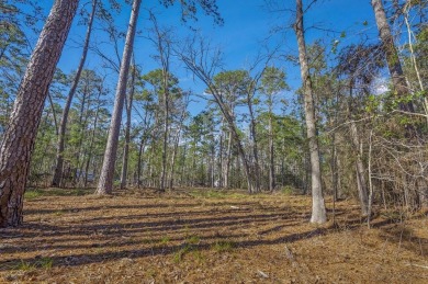 Lake Lot For Sale in Brookeland, Texas