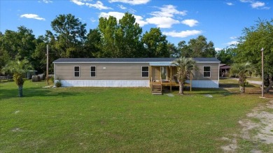Smith Lake Home For Sale in Belleview Florida