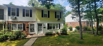 East Branch Naugatuck River Condo For Sale in Torrington Connecticut