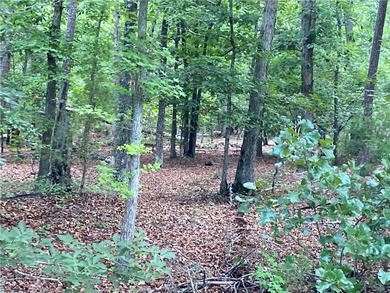 This is a 2 acre tract of land with no restrictions. The land is - photo 1