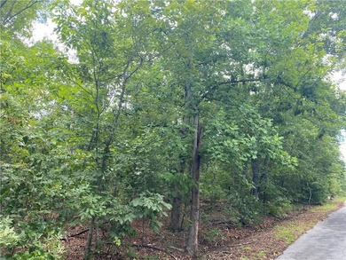 This is a 2 acre tract of land with no restrictions. The land is - photo 2