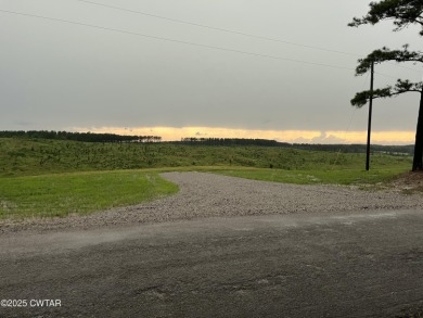 (private lake, pond, creek) Acreage For Sale in Bethel Springs Tennessee