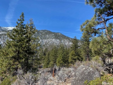 Lake Tahoe - Douglas County Lot For Sale in Carson City Nevada