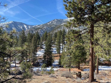 Clear Creek Tahoe is Northern Nevada's most exciting new - photo 3