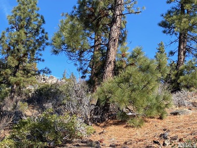Clear Creek Tahoe is Northern Nevada's most exciting new - photo 4