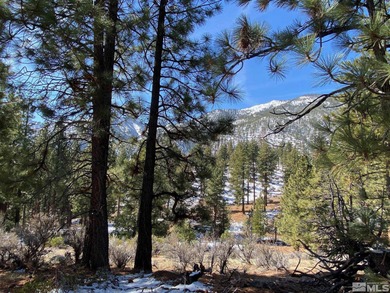 Clear Creek Tahoe is Northern Nevada's most exciting new - photo 6