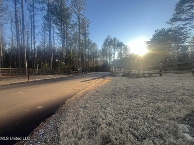 Welcome to Springwood Trail, come experience this new lakefront - photo 8