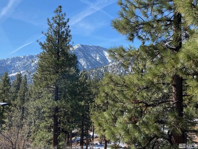 Clear Creek Tahoe is Northern Nevada's most exciting new - photo 8