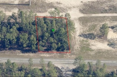 (private lake, pond, creek) Lot For Sale in Citrus Springs Florida