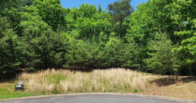 Lake Lot For Sale in Mooresburg, Tennessee