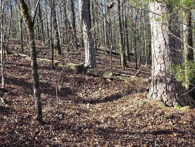 When things are very rare the price reflects it. This property - photo 11