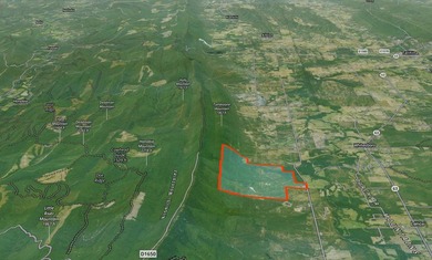 If you're in the Market for world Class Black Bear and Whitetail - photo 11
