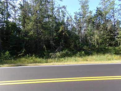 Upper St. Croix Lake Acreage For Sale in Solon Springs Wisconsin