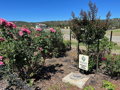 Beautiful Level Lot, amazing views of the surrounding hills - photo 11