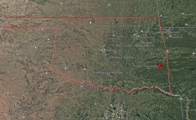 If you're in the Market for world Class Black Bear and Whitetail - photo 13