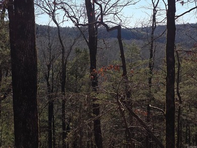 When things are very rare the price reflects it. This property - photo 15