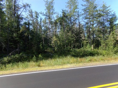 Prime Location! 8.38 Acre spacious and wooded residential lot in - photo 6