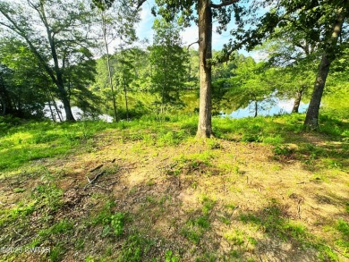 Lake Acreage For Sale in Saulsbury, Tennessee