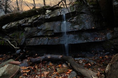 If you're in the Market for world Class Black Bear and Whitetail - photo 22