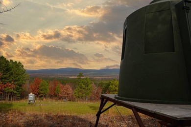 If you're in the Market for world Class Black Bear and Whitetail - photo 23
