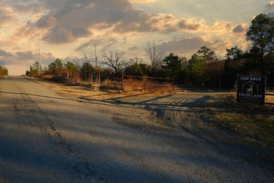 If you're in the Market for world Class Black Bear and Whitetail - photo 24