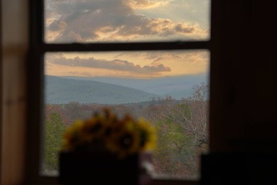 If you're in the Market for world Class Black Bear and Whitetail - photo 25