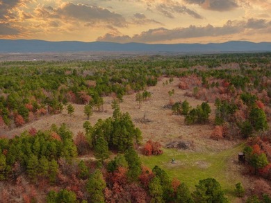 If you're in the Market for world Class Black Bear and Whitetail - photo 26