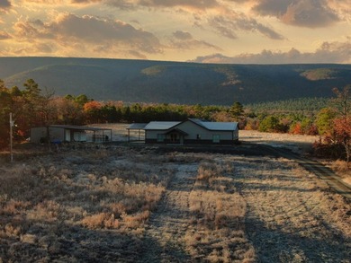 If you're in the Market for world Class Black Bear and Whitetail - photo 28
