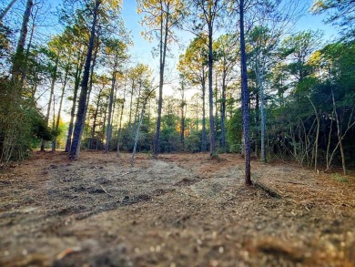 Lake Lot For Sale in Brookeland, Texas