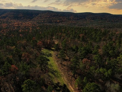 If you're in the Market for world Class Black Bear and Whitetail - photo 31