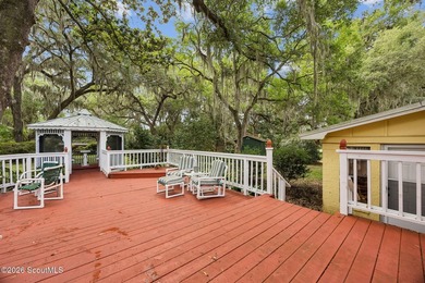 Welcome to 711 Mildred Avenue in historic St. Marys - a charming - photo 39
