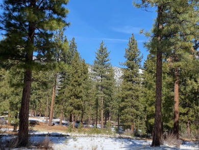 Lake Tahoe - Douglas County Lot For Sale in Carson City Nevada