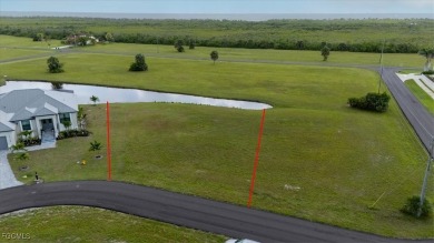 LIVE THE FLORIDA DREAM WITH THIS BEAUTIFUL LAKE FRONT LOT IN - photo 5