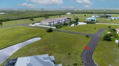 LIVE THE FLORIDA DREAM WITH THIS BEAUTIFUL LAKE FRONT LOT IN - photo 8