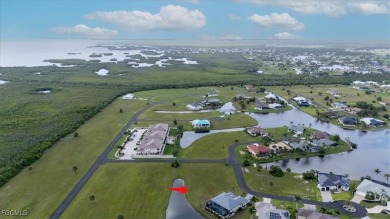 LIVE THE FLORIDA DREAM WITH THIS BEAUTIFUL LAKE FRONT LOT IN - photo 9