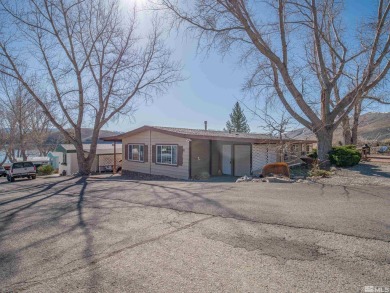 Lake Home For Sale in Topaz, California