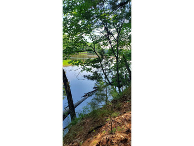 Beautiful wooded Chippewa River lot for your private get-away - photo 2