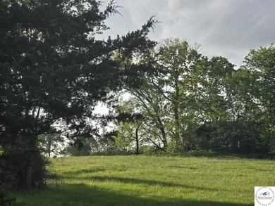 Absolutely beautiful 80-acre tract just off Hwy W! This property - photo 3