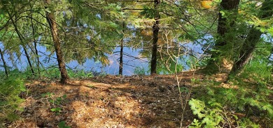 Beautiful wooded Chippewa River lot for your private get-away - photo 6