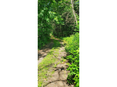 Beautiful wooded Chippewa River lot for your private get-away - photo 7