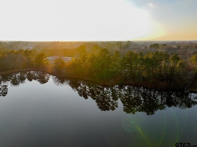 Located in Quitman, the county seat of Wood County, this - photo 8