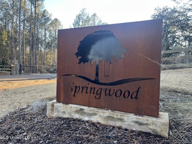 Welcome to Springwood Trail, come experience this new lakefront - photo 3