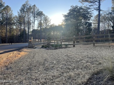 Welcome to Springwood Trail, come experience this new lakefront - photo 3
