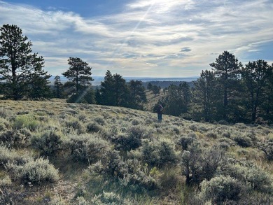 (private lake, pond, creek) Acreage Sale Pending in  Montana